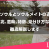 ツインソウルとソウルメイトの違いとは？前兆、意味、特徴、見分け方を徹底解説します