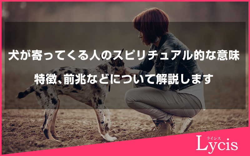 犬が寄ってくる人のスピリチュアル的な意味や特徴、前兆などについて解説します